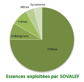 Essences exploités par SOVALEF